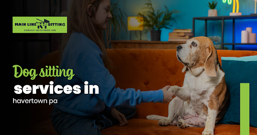 dog sitting services in havertown pa
