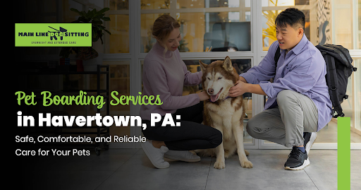 Pet boarding services in Havertown, PA